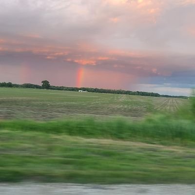 Gridleyiron's profile picture. 