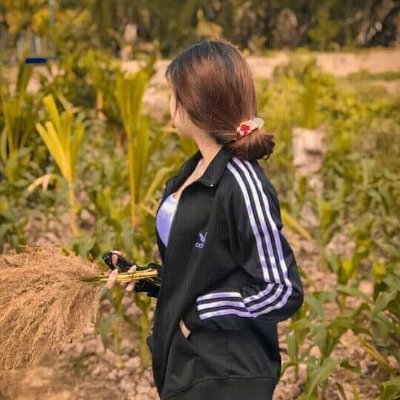 SChester7530719's profile picture. 