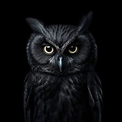onebllud's profile picture. 