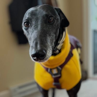 ej_kayy's profile picture. 