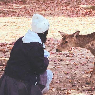 su__y_thiaa's profile picture. さ @irinachariaru__