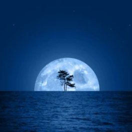digantadutta007's profile picture.