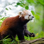 aSznaKnu0's profile picture. 山登りが趣味のオジさん｜登山ブログ更新中