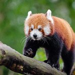 OOsamne119's profile picture. 東京都渋谷区恵比寿で鍼灸・美容鍼灸・整体を行う治療院の院長。元新体操全日本選手権優勝🏆オリンピック協会体操強化コーチ経験者。体の不調でお悩みの方はご相談ください。