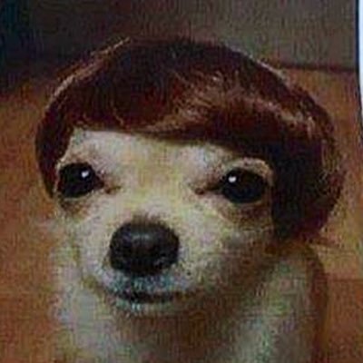 I’m just a dog 🧡! #BTC🟠 • #Web3 🌏🛰️ • #AI 🦾🤖 Take care brush your hair, forget about it ! $ASTER ☄️