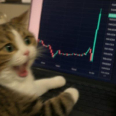 MargitRavn's profile picture. 