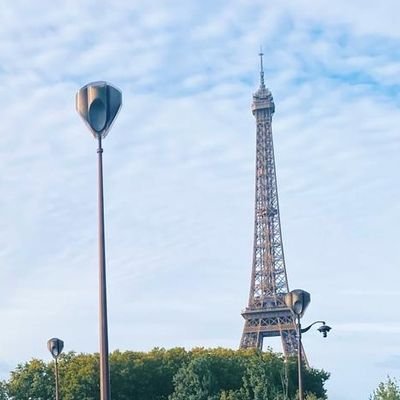 CabinetCauchy's profile picture. compte perso