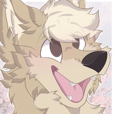 mushyさんのプロフィール画像