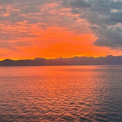 DehbiDriss's profile picture. 🇲🇦 🇨🇭 🇲🇦🇫🇷 🇲🇦 🏴󠁧󠁢󠁥󠁮󠁧󠁿🇲🇦