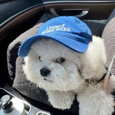 _pttyrprz's profile picture. 