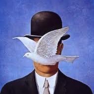 Matty S. (@mattyshrimpton) 's Twitter Profile Photo