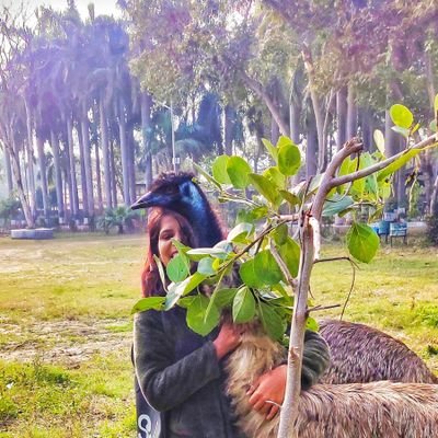 NoorP80815's profile picture. 