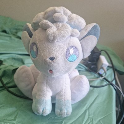 He/him | 20 | Leftie | Go Birds, F*** ICE Free🇵🇸🇸🇩🇨🇩 | #FlyEaglesFly | #RaysUp | priv:@FalseFreezer | I play Pokémon | Training to be good enough at VGC