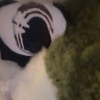 elle20050's profile picture. I’m Joshua, I’m gay and a furry. 😊