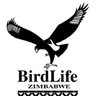 birdlifezim's profile picture. Promote the survival of birds and biodiversity in Zimbabwe and elsewhere for both their intrinsic value and for the enjoyment of future generations
