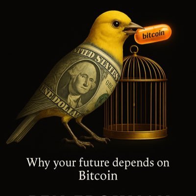Husband. Father. Author. ✍️ ₿00k COM1NG 🔜 📖 #ChainLink 2017 ICO Participant /Hodler ⬡