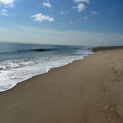 SeltzerWaterLLC's profile picture. Law abiding natural-born US citizen, engineer, landlord, tall person, billionaire, golfer. Senior advisor to President Donald J Trump. 🌎 👩‍🚀 🔫👩‍🚀🌕