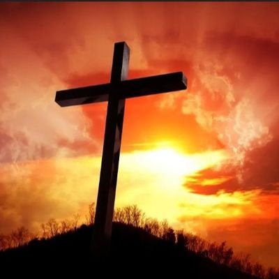 John41284839838's profile picture. 