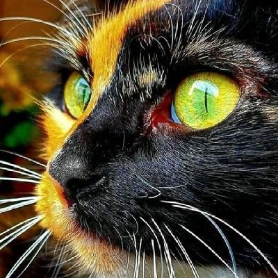 Mark652738's profile picture. 