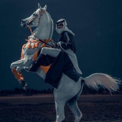 Alihussein45178's profile picture. 