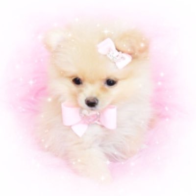 Chwryypiecake's profile picture. 