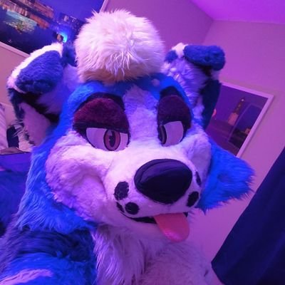 Lvl 23 |💙@RyderTheFolfsky💙| Artist/Fursuit maker/Amatuer Bartender | Certified snuggle brat | Party Dog | | Usually always doin' something | 18+ to follow