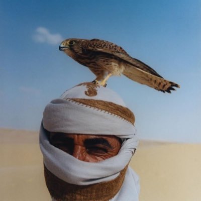 iiNasser44's profile picture. 