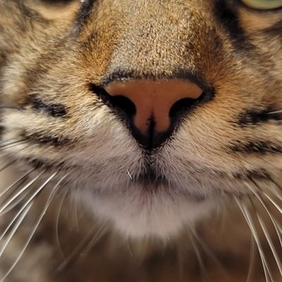 B35FY3j1oQ12202's profile picture. 