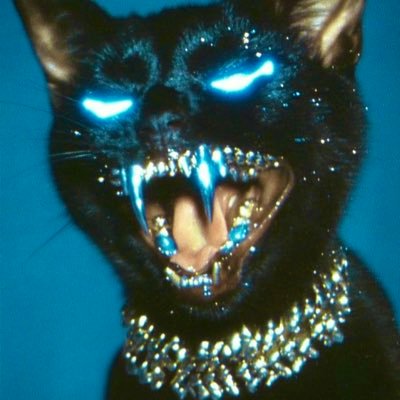 popdreas's profile picture. trolling, gaga and love