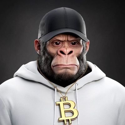 SadeeqXBT's profile picture. Crypto-Degenerate ⛓️ Guided by faith