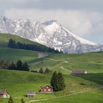 Bersuit2025's profile picture. 