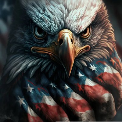 Jesus Christ is my king👑
1st-2nd Amendment stance🇺🇲
Republic Nation 🇺🇲 parent, retired disabled medic.
Lost all positive experience on X