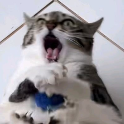 DantasGhi's profile picture. sempre dando minha humilde opinião.💅