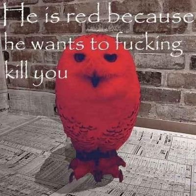 angryowl67's profile picture. I am Evil and will do evil things, and you cannot stop me ಠ⁠◡⁠ಠ 😈😡🦉🦉
@expmadness 's alt account.