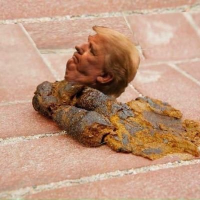 terps8's profile picture. 