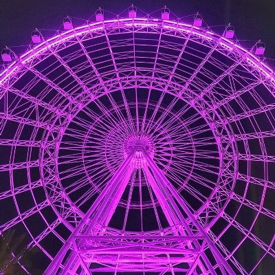 sqidk6's profile picture. I talk about mls and theme parks.
#1 Voyage glazer