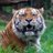 Bronx Zoo