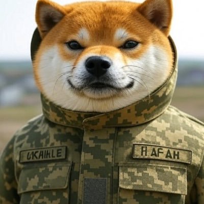Beichz's profile picture. Getting stronger every single day.