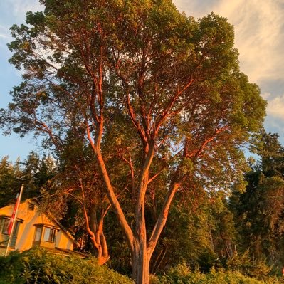ca1tl1n_rs's profile picture. 🌎🌈🏕️