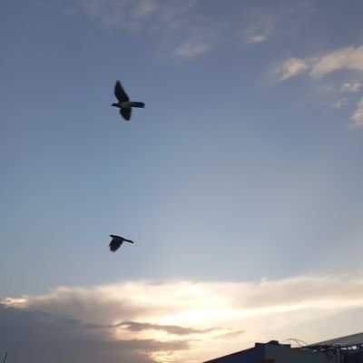 BintMengal's profile picture. 