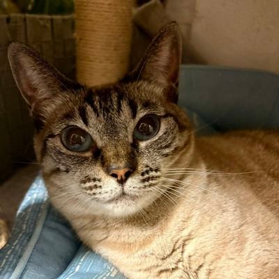 JohnMartin33835's profile picture. 