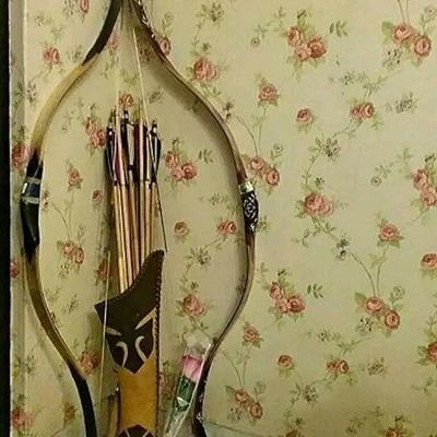 htmvrai's profile picture. one plus one.