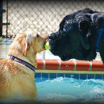Just a girl out there chasing her ball around. Mom votes blue and you should too. Mom's trying to get her account back.