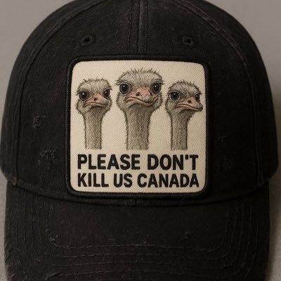 mcneely_frank's profile picture. 