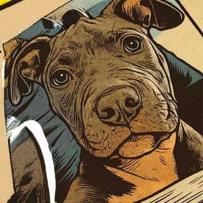 bs_einsnull's profile picture. 