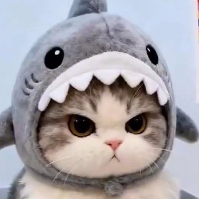 Marxista-leninista. La patria es el pueblo. Me gustan los gatos, Pokemon y las ciencias. Investigo en ingeniería de membranas para desarrollar tecnología. 2eA.