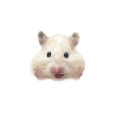lillililili_lli's profile picture. ○고싶다 (패, 죽, 박, 먹, 자, 차, 끄, 눕, 튀, 울   택 1)