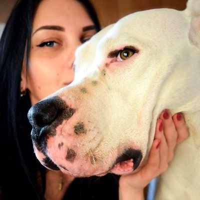 GreatestTaboo's profile picture. Always got some hot 🥵 k9 content +more Dm me for crazy adventure 🥰