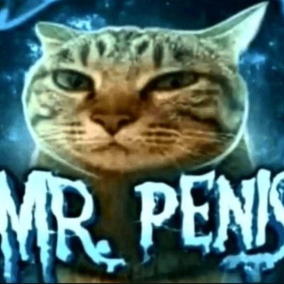 🇸🇻💙🤍💙🇸🇻 / House MD 👨⚕️/ Movies 🎬 / Comics 🦸♂️/ Balatro 🃏 / GD 🔺/ Shitpost 💩 / Mes de Independencia 💙🤍💙