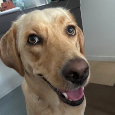 qCRfpyvbsj28221's profile picture. 